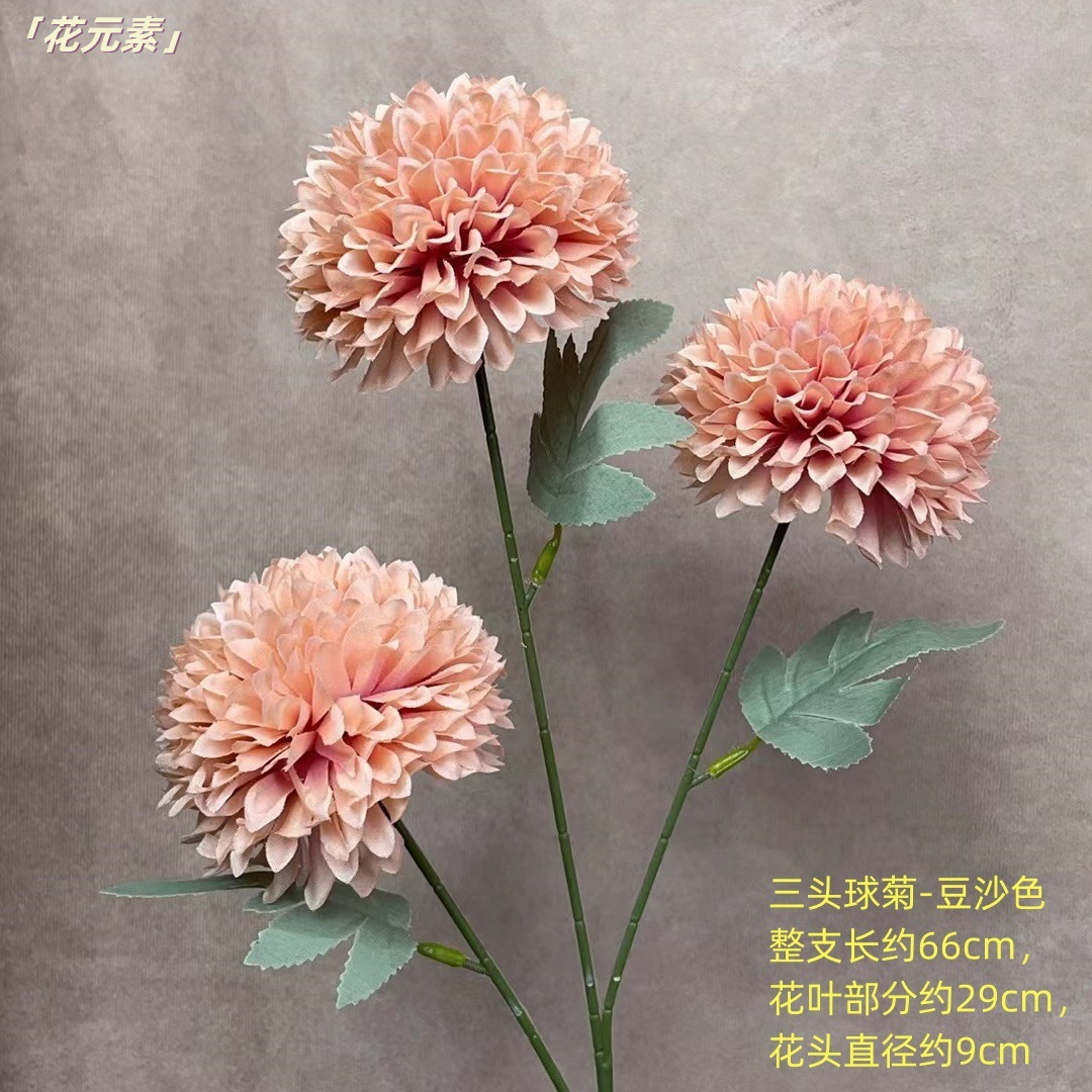 콩 페이스트