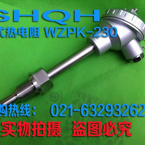 WZP230/PT100铠装热电阻热电偶温度传感器