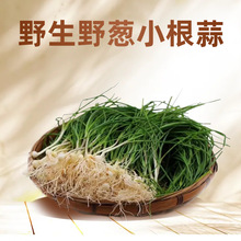 野生小根蒜新鲜东北大脑瓜泡菜咸菜小头蒜山野菜产腌蘸酱菜组合