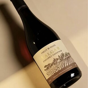 ���a���ؼt��!FALGAL�ɼt���Ѿ� �Ѳ��Lζ �ͶY��Ո�����惺