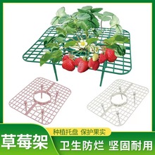 跨境亚马逊园林园艺工具 阳台盆栽方形草莓支撑架 爬藤托盘托架