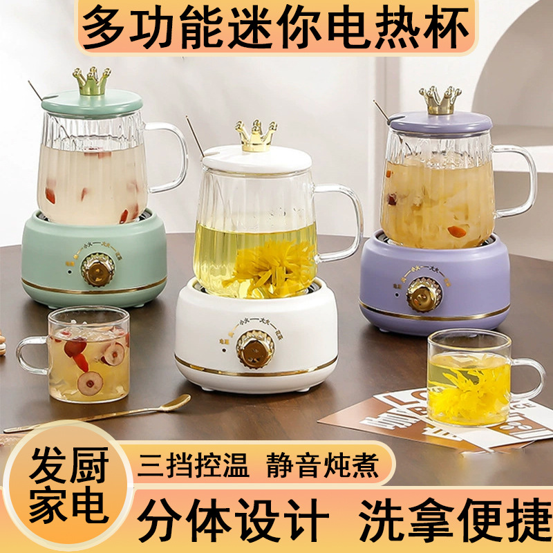 다기능 미니 전기 컵 가정용 꽃 차 뜨거운 우유 전기 스튜 컵 사무실 대용량 건강 냄비