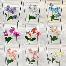 �ߙn��߅���������m���滨�҃ȼҾӔ[���廨�����ָ�ܛ�������m��