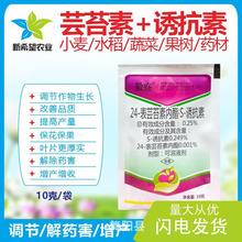 �տ���+̦ܿ��������֬�� ׳�籣��������Ҷ��ʽ�ҩ���������ڼ�