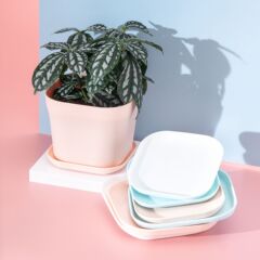 2022新款多肉花盆接水盤 加厚塑料花盆底托 方形托盤小號批發