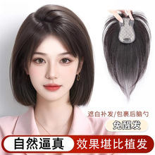 ������ͷƤ����˿��������Ů�淢�ᱡ������������ͷ����������Ƭ