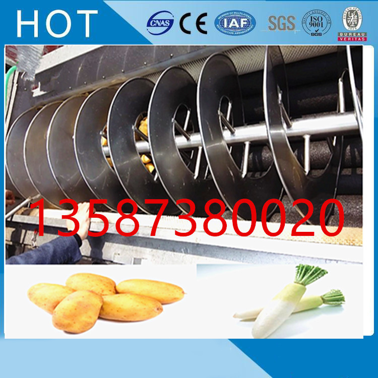 连续式土豆脱皮机自动化金刚砂马铃薯萝卜番薯生姜地瓜清洗去皮机