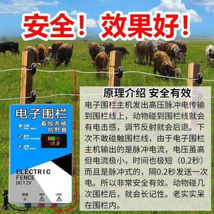 ������Ӈ������C�����Bֳ�iţ��늇�����������늾Wȫ�׈�ϵ�y