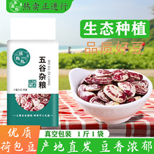 真空锁鲜大粒荷包豆农家新豆干豆富贵豆大肾豆扁芸豆现货一件代发