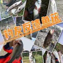 ����׼ӏ��U�^�h·�����DTβܛ�D��|�~�N���Z�~ܛ�x·�������b