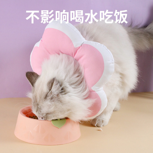 New Waterproof Cartoon Flower Elizabethan Circle Cat Beauty Cover Cat Neck Cover Protective Cover Pet Collar Wholesale