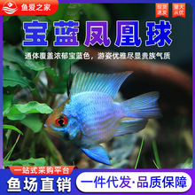 {P~_Lβ{ĽС͟Ꭷ^pݸ׌~