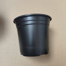 ���l��ɫ��ɫ�����pɫ�������ϼt����������ֲ�軨���pɫ��