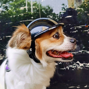 New pet helmet leaky ears dog cat car windproof glasses locomotive large dog hat