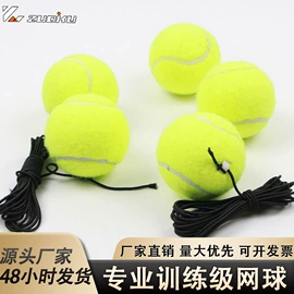 匹克球拍;羽毛球;其他球类用品