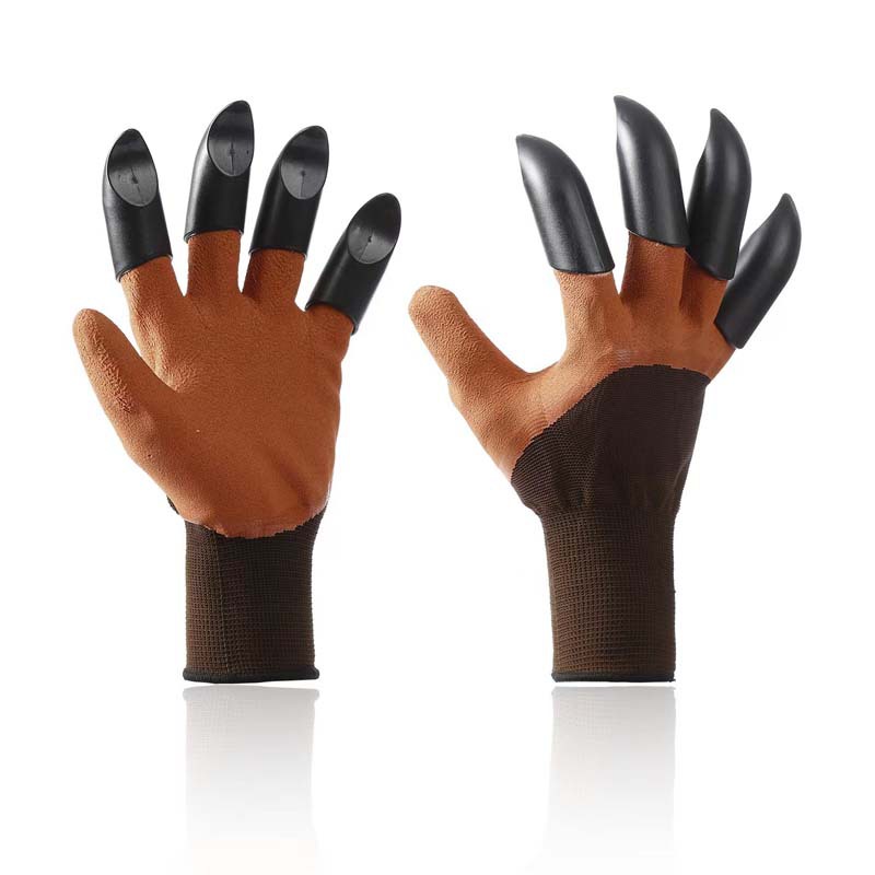 갈색 이중 발톱