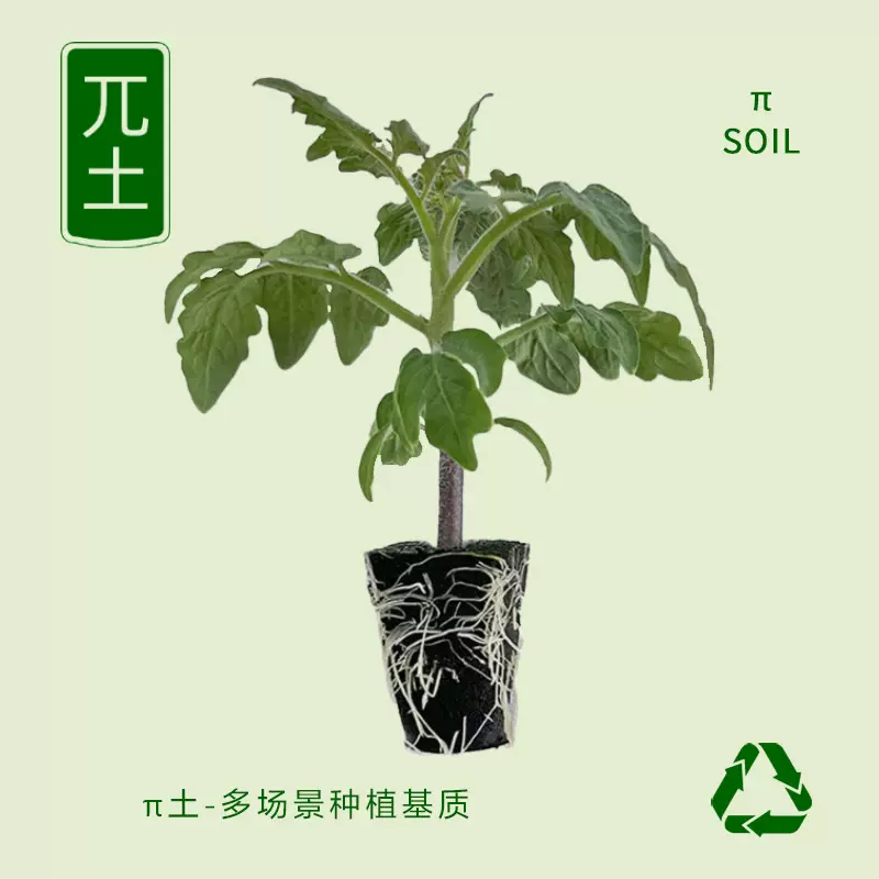 奥玛π土无土栽培育苗基质营养块生物泥炭棉水培蔬菜花卉种植通用