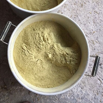 浙江雁蕩山鐵皮石斛斷條 碎條打粉 打粉 細粉