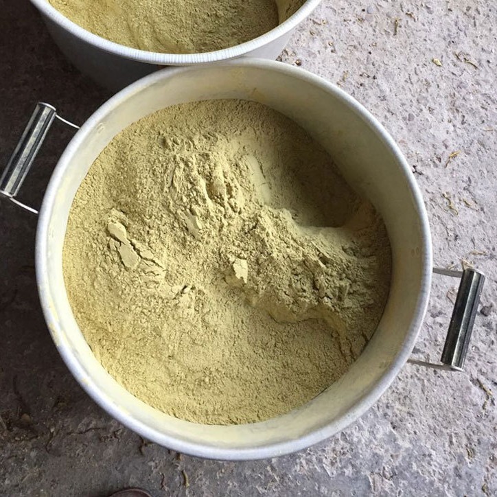 浙江雁蕩山鐵皮石斛斷條 碎條打粉 打粉 細粉