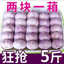 子山东十足红皮大蒜农家自种头干包邮新鲜干批发蒜紫皮大蒜