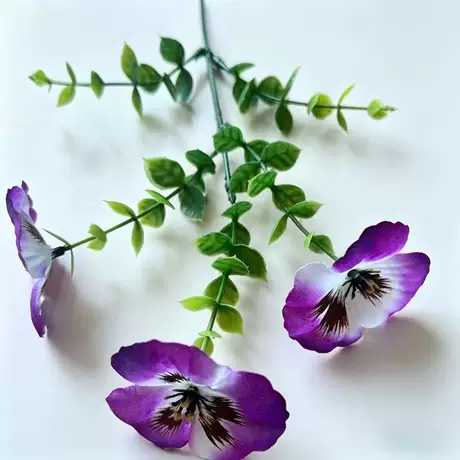 Purple edge color