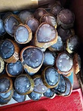 巴西玛瑙水胆手把件 雕刻件玛瑙原石水胆摆件 礼物礼品