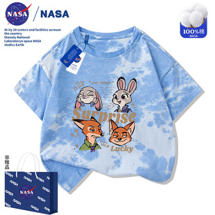 NASA�ļ���������������ͯ�b��Ůͯ����T�����䳱����Ⱦ����