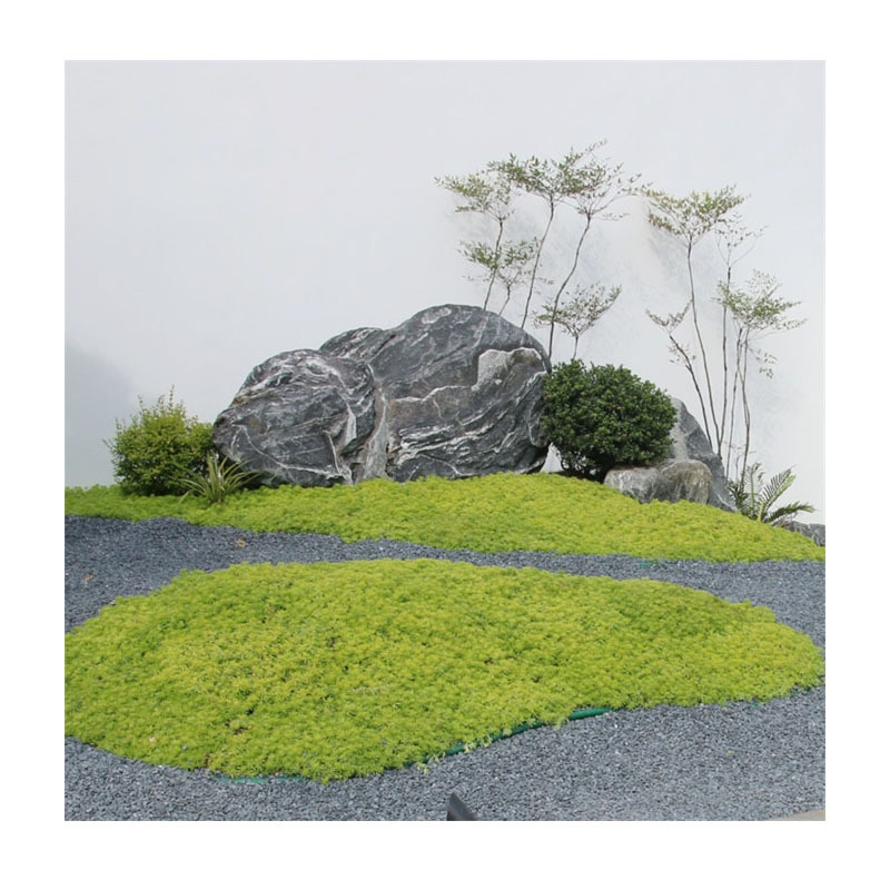 ʯɫʯӿɽˮ¶Ӫ԰ɢ쾰ʯʯʯ