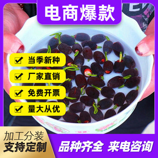 Wholesale Open Lotus Seeds Water Lily Lotus Hydroponic Plant Distribution Manufacturer E-Commerce Sub-Contracting Non-Bowl Lotus Seeds