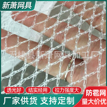 ������ɫ�Gɫ���ѷ������W �F؛�������@�����W ����ϩ�����W