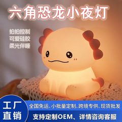 跨境新款硅胶六角恐龙小夜灯蝾螈拍拍灯卧室床头灯氛围灯充小夜灯
