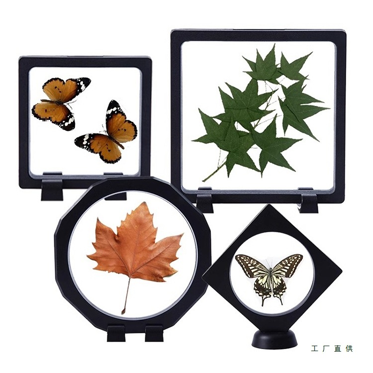 Transparent Plant Leaf Specimen Frame Animal Insect Specimen Frame Butterfly Specimen Photo Frame Desktop Stereo Painting Frame