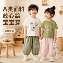 定制夏季中小童男童卡通短袖t恤运动休闲居家外穿轻薄束脚防蚊裤