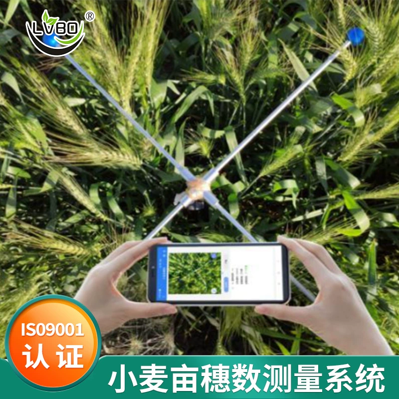 Lvbo Пшеница му Количество шипов система измерения источник производитель в наличии оптом удобная система измерения шипов пшеницы му