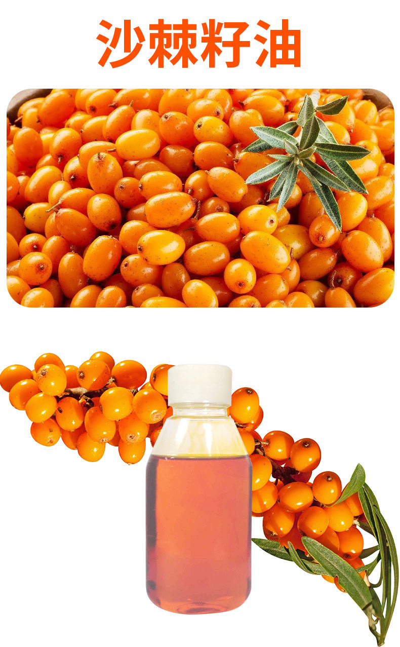 Sea Buckthorn Seed Oil Shaji Zi You Pure Herbal Oil for Wellness and Skin Care 1kg key features