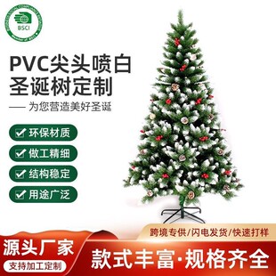 ����ѩ���}�Q�Շ��ԄӘ� ֲ�q��ѩ�ɹ��b��t����������}�Q��