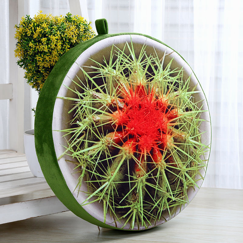 Increase the model-cactus
