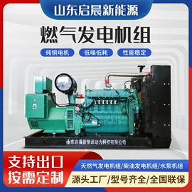 燃气发电机组;柴油发电机组;排灌机械