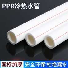 pprˮˮܹܼܲ1420625ԁˮܟ