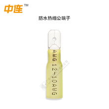 ���B MDD ���S���l����ˮ��s���ӽ^������ ��ĸ����^��s�����^