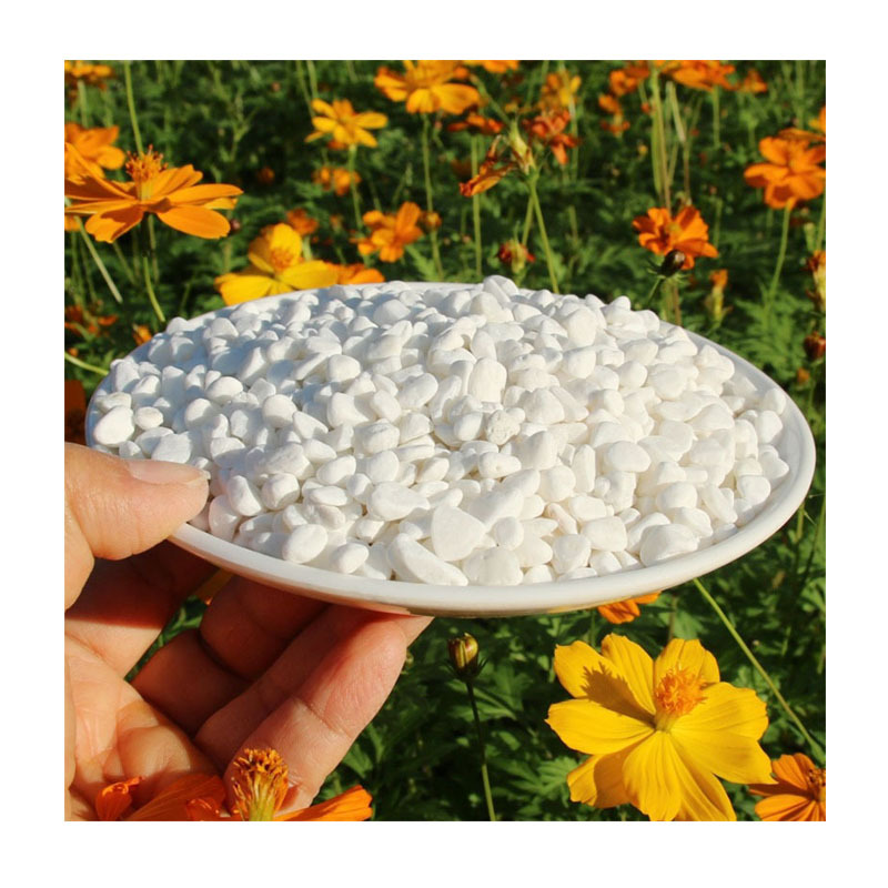 联系:13679700428 园林造景白色鹅卵石广州 珠海绿化装饰白色小石头彩色砾石