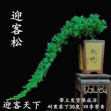 ӭ���ɵذ�����䁵ذ������辰�ļ�����ͥԺ�ؘ����ͺ��G���ɘ���