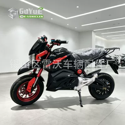 Upgraded Export M5 Modified sports car Cool Car Electric sports car Electric Motorcycle New (Elektrikli motosikletlər)