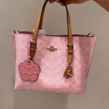 C���¿�����mollie25���ذ�����μ����朊A��ُ���ͨ��Ҹ�°�
