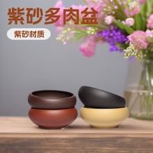 宜兴紫砂盆陶瓷多肉小花盆金钱菖蒲盆栽阳台办公室桌面微型盆批发