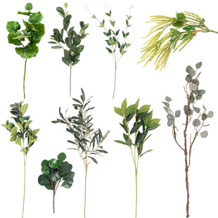 ins�L����Gֲ�ҾӲ廨�b��¹��~ �@�ֹ�����������ϙ�֦���ǲ�