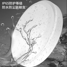 IP65防水吸顶灯防潮灯三防灯井道灯阳台卫生间灯冷库灯工厂