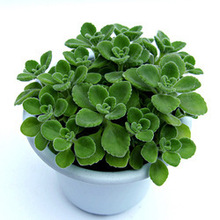 �������������҃����һĨ��ζ���������������Ϙ��Gֲ������՚�