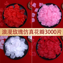 ����õ�廨��Y������b����������˹����մ�����������鷿����