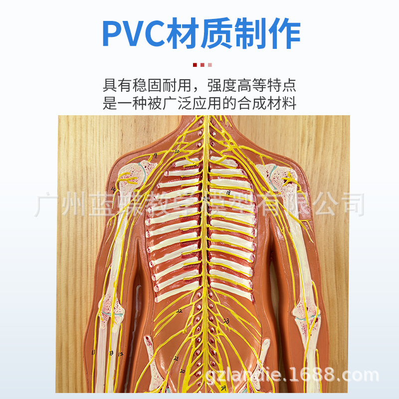 ������ϵͳ����ģ�� ����������ϵͳģ�� �� ���� ��Χ����